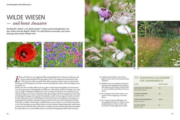 Produktbild: Wild & bunt