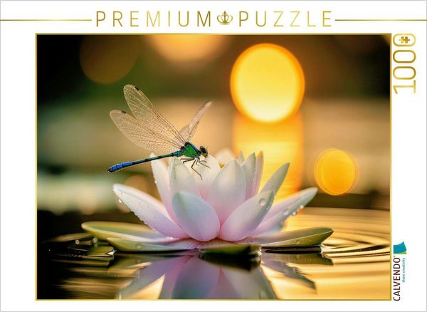 CALVENDO Puzzle Eine Libelle auf einer Seerose. | 1000 Teile Lege-Größe 64 × 48 cm Foto-Puzzle für glückliche Stunden