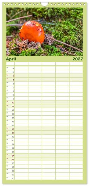 Produktbild: Familienplaner 2027 - Vielfalt am Waldboden mit 5 Spalten (Wandkalender, 21 x 45 cm) CALVENDO