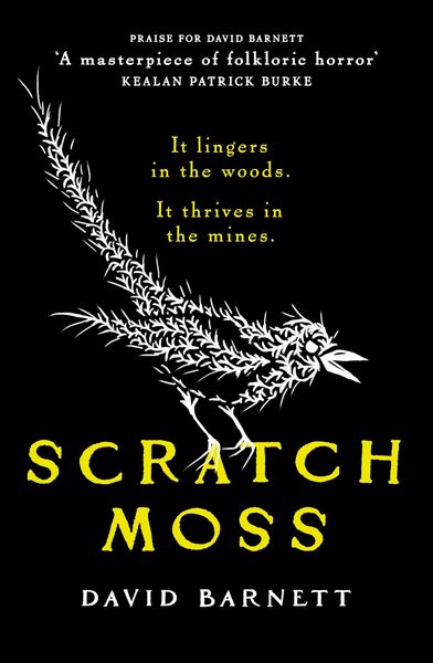Produktbild: Scratch Moss