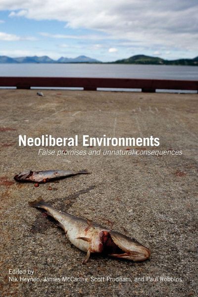 Produktbild: Neoliberal Environments
