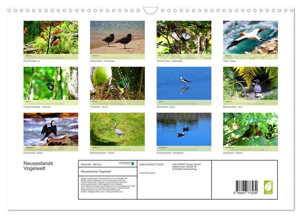 Produktbild: Neuseelands Vogelwelt (Wandkalender 2026 DIN A3 quer), CALVENDO Monatskalender