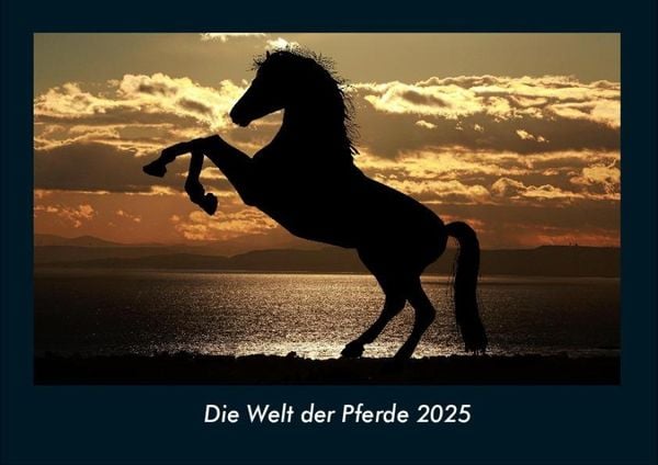 Produktbild: Die Welt der Pferde 2025 Fotokalender DIN A4