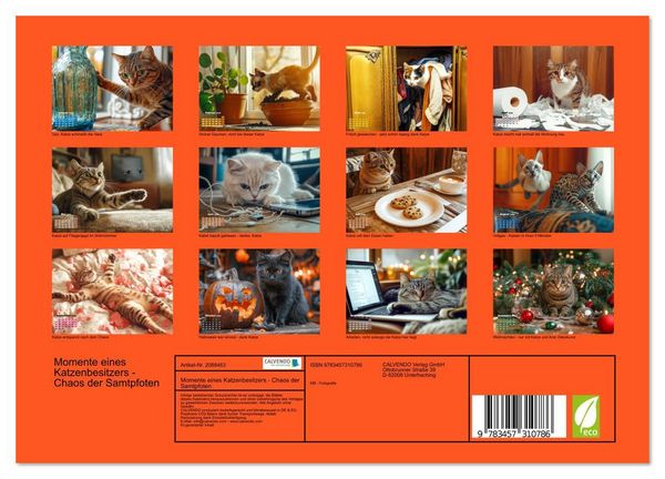 Produktbild: Momente eines Katzenbesitzers - Chaos der Samtpfoten (Wandkalender 2026 DIN A4 quer), CALVENDO Monatskalender