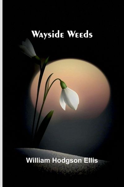 Produktbild: Wayside Weeds