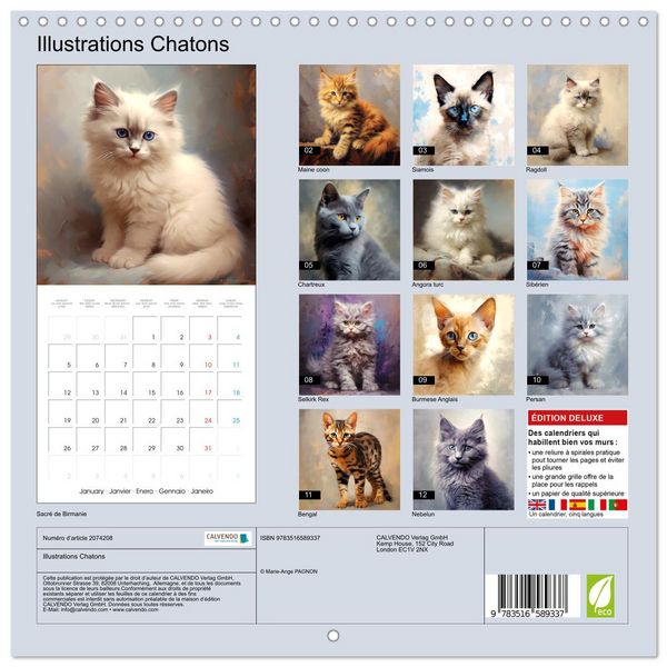 Produktbild: Illustrations Chatons (Calendrier mural carr&eacute; 2026 30x30 cm) Calendrier double avec une page pour vos prises de notes