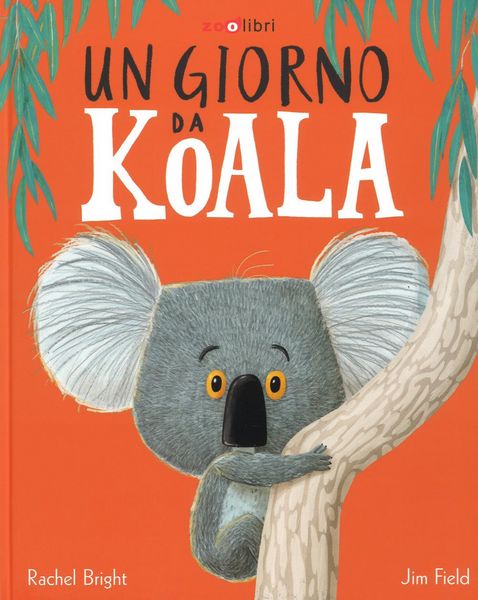 Produktbild: Un giorno da koala