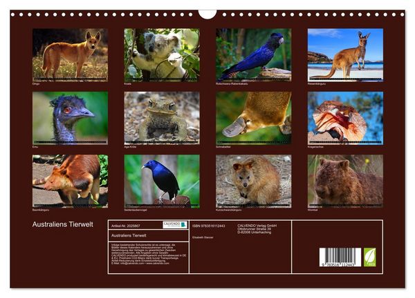 Produktbild: Australiens Tierwelt (Wandkalender 2026 DIN A3 quer), CALVENDO Monatskalender