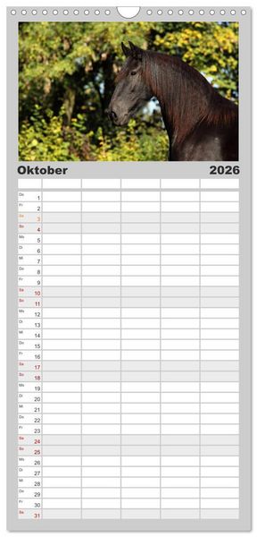 Produktbild: Familienplaner 2026 - Pferde - im Galopp durch's Jahr mit 5 Spalten (Wandkalender, 21 x 45 cm) CALVENDO