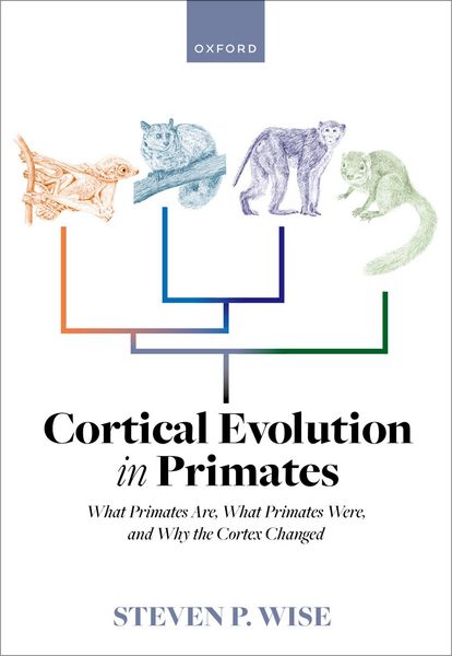 Produktbild: Cortical Evolution in Primates