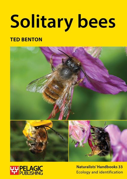 Produktbild: Solitary bees