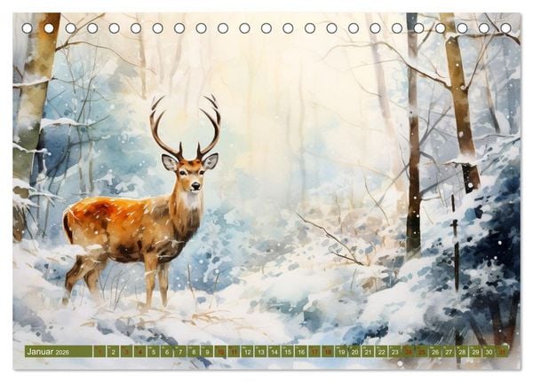 Produktbild: Zw&ouml;lf Monate im Wald (Tischkalender 2026 DIN A5 quer), CALVENDO Monatskalender