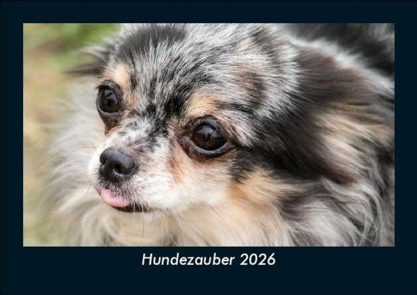 Produktbild: Hundezauber 2026 Fotokalender DIN A5