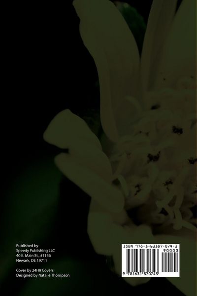 Produktbild: Beekeeping Secrets the Safe Way to Raise Bees