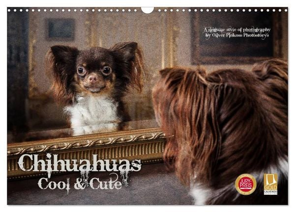 Produktbild: Chihuahuas - Cool and Cute (Wandkalender 2026 DIN A3 quer), CALVENDO Monatskalender