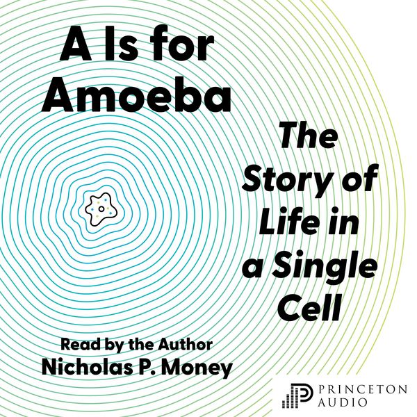 Produktbild: A Is for Amoeba