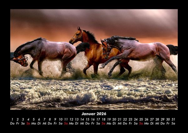 Produktbild: Pferde Kalender 2026 Fotokalender DIN A3