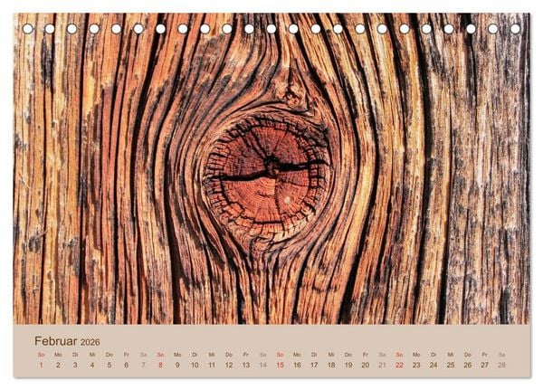 Produktbild: Farben des Holzes (Tischkalender 2026 DIN A5 quer), CALVENDO Monatskalender