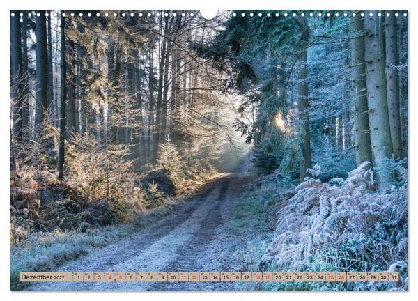 Produktbild: Freiburg Regio (Wandkalender 2027 DIN A3 quer), CALVENDO Monatskalender