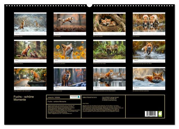 Produktbild: Fuchs - sch&ouml;ne Momente (Wandkalender 2026 DIN A2 quer), CALVENDO Monatskalender
