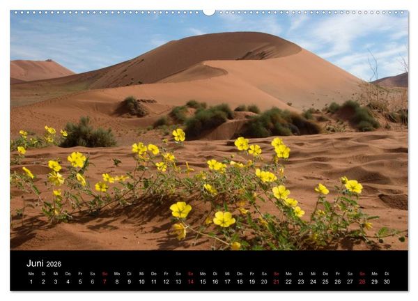 Produktbild: Namibias Highlights (Wandkalender 2026 DIN A2 quer), CALVENDO Monatskalender