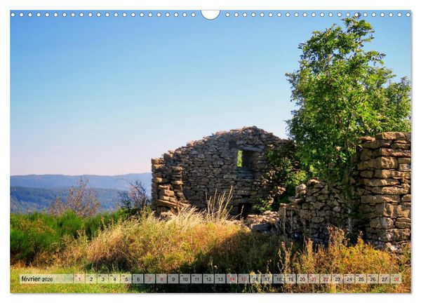 Produktbild: Les C&eacute;vennes typiques (Calendrier mural 2026 DIN A3 vertical), CALVENDO calendrier mensuel