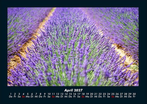 Produktbild: Blumentr&auml;ume 2027 Fotokalender DIN A4