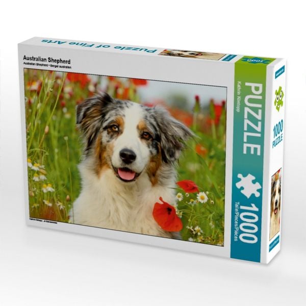 Produktbild: CALVENDO Puzzle Australian Shepherd | 1000 Teile Lege-Gr&ouml;&szlig;e 64x48cm Foto-Puzzle f&uuml;r gl&uuml;ckliche Stunden