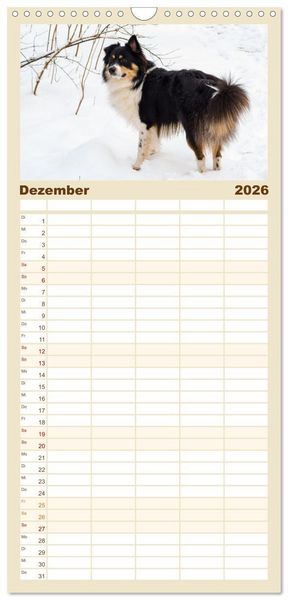 Produktbild: Familienplaner 2026 - Geliebte Tiere auf dem Bauernhof mit 5 Spalten (Wandkalender, 21 x 45 cm) CALVENDO