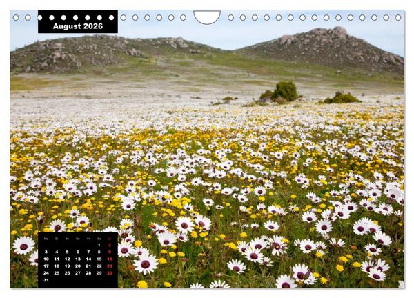 Produktbild: Blickpunkte des S&uuml;dlichen Afrika (Wandkalender 2026 DIN A4 quer), CALVENDO Monatskalender