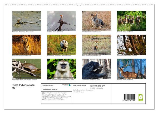 Produktbild: Tiere Indiens close up (hochwertiger Premium Wandkalender 2026 DIN A2 quer), Kunstdruck in Hochglanz