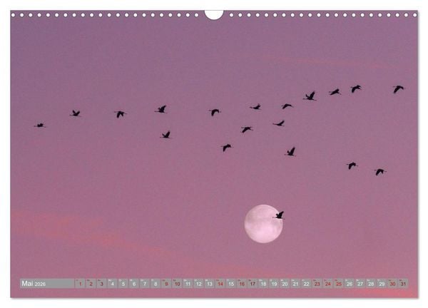 Produktbild: Vollmond - Momente der Ruhe (Wandkalender 2026 DIN A3 quer), CALVENDO Monatskalender