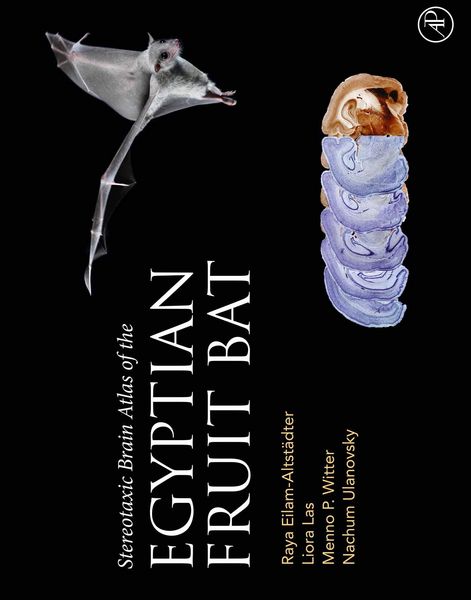 Produktbild: Stereotaxic Brain Atlas of the Egyptian Fruit Bat