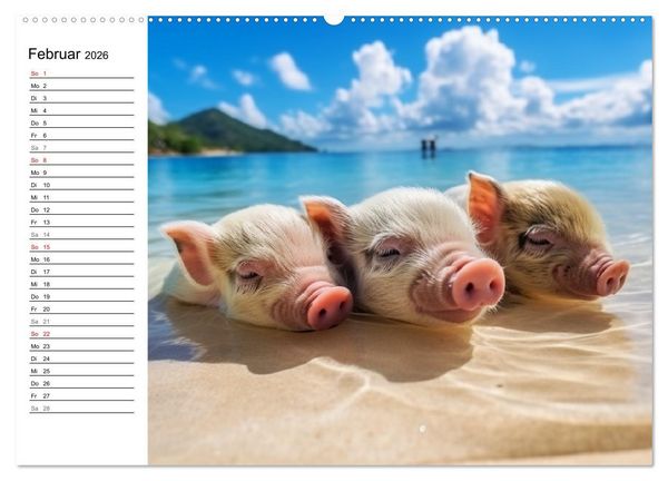 Produktbild: Schweinereien in der Karibik. Sonne und Spa&szlig; mit schwimmenden Schweinen (Wandkalender 2026 DIN A2 quer), CALVENDO Monatskalender