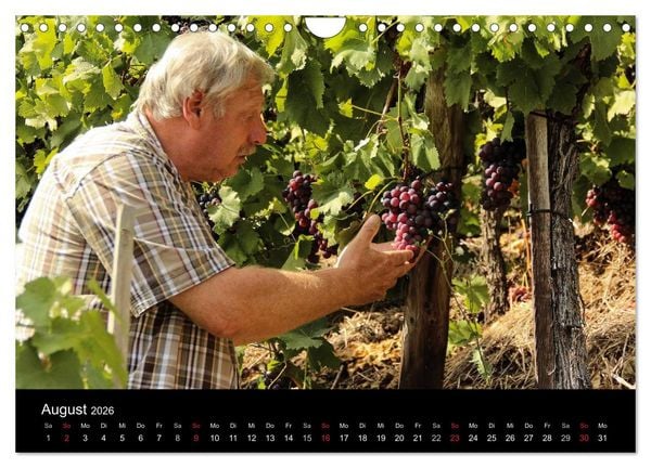 Produktbild: Das Jahr im Weinberg (Wandkalender 2026 DIN A4 quer), CALVENDO Monatskalender