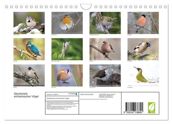 Produktbild: Steckbriefe einheimischer V&ouml;gel (Wandkalender 2026 DIN A4 quer), CALVENDO Monatskalender