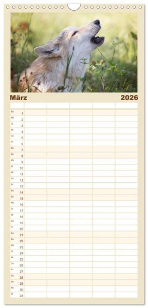 Produktbild: Familienplaner 2026 - Wolfshunde 2026 mit 5 Spalten (Wandkalender, 21 x 45 cm) CALVENDO