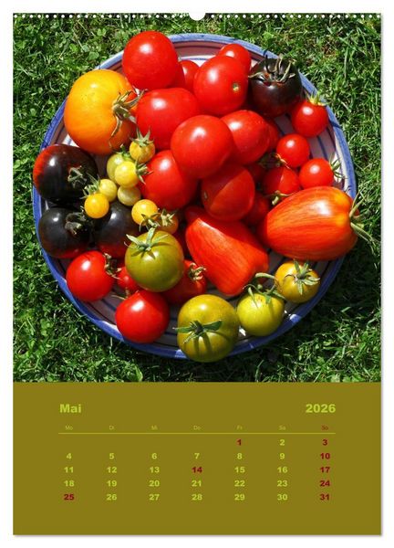Produktbild: Tomaten - Alles BIO! (hochwertiger Premium Wandkalender 2026 DIN A2 hoch), Kunstdruck in Hochglanz