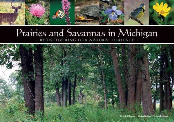 Produktbild: Prairies and Savannas in Michigan: Rediscovering Our Natural Heritage