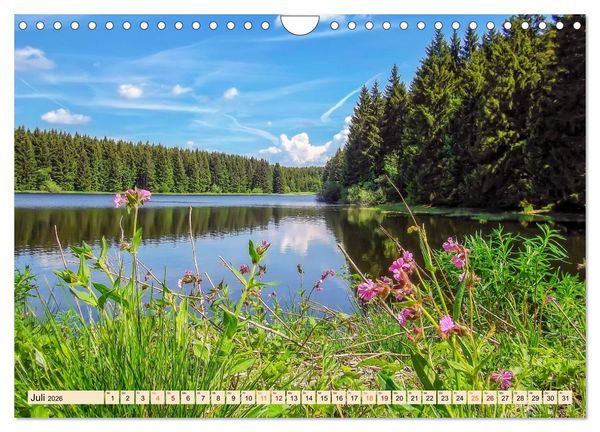 Produktbild: Harz - Urlaub (Wandkalender 2026 DIN A4 quer), CALVENDO Monatskalender