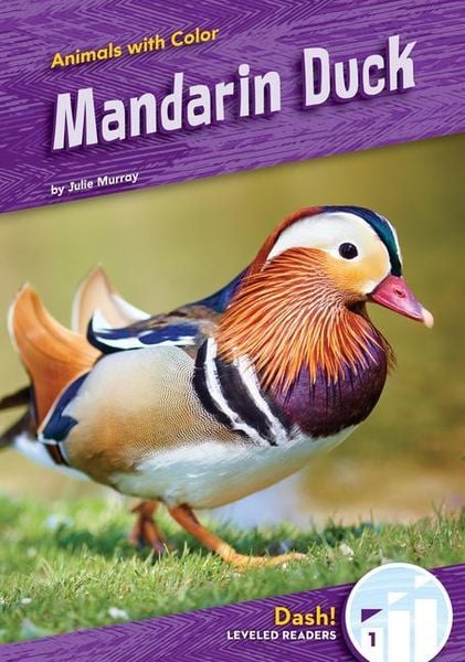 Produktbild: Mandarin Duck