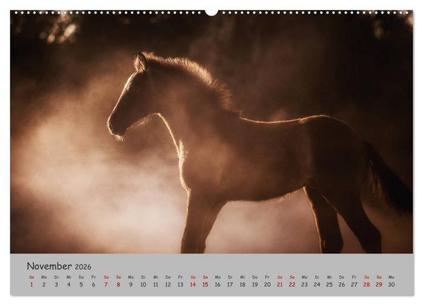 Produktbild: Spiegel deiner Seele (hochwertiger Premium Wandkalender 2026 DIN A2 quer), Kunstdruck in Hochglanz