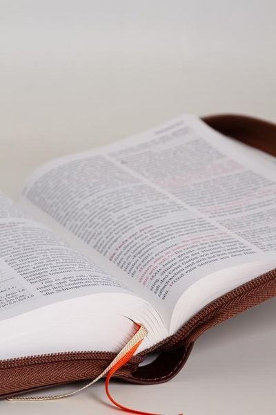 Produktbild: Neues Leben. Die Bibel, Standardausgabe, Kunstleder mit Rei&szlig;verschluss