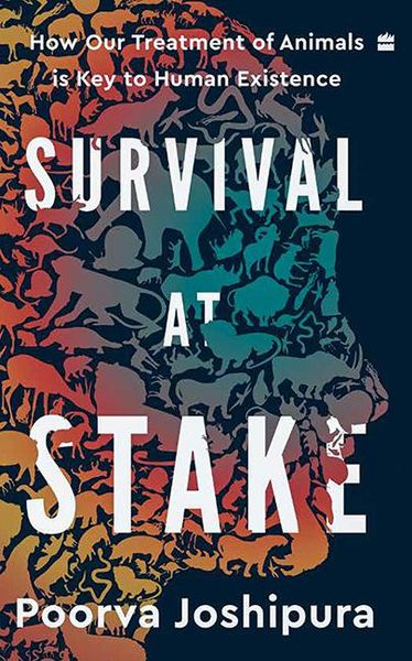 Produktbild: Survival at Stake