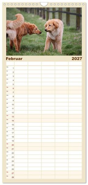 Produktbild: Familienplaner 2027 - Hovawart - nat&uuml;rlich blond mit 5 Spalten (Wandkalender, 21 x 45 cm) CALVENDO