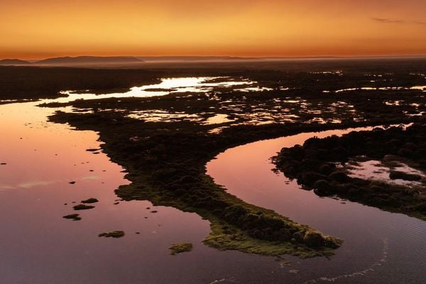Produktbild: Pantanal