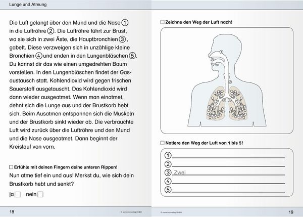 Produktbild: Ich kenne meinen K&ouml;rper - 3 Arbeitshefte im Set