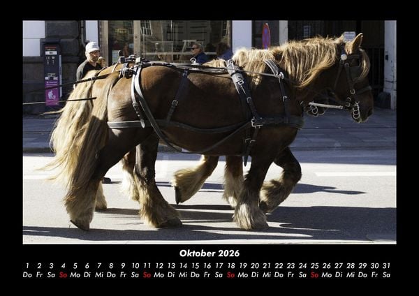 Produktbild: Pferde Kalender 2026 Fotokalender DIN A3