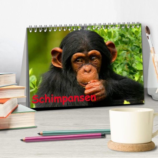 Produktbild: Schimpansen (Tischkalender 2026 DIN A5 quer), CALVENDO Monatskalender