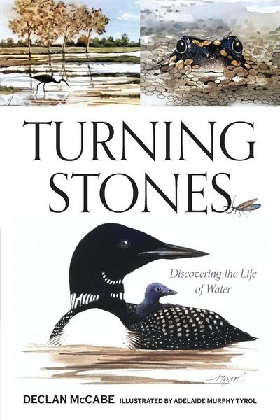Produktbild: Turning Stones